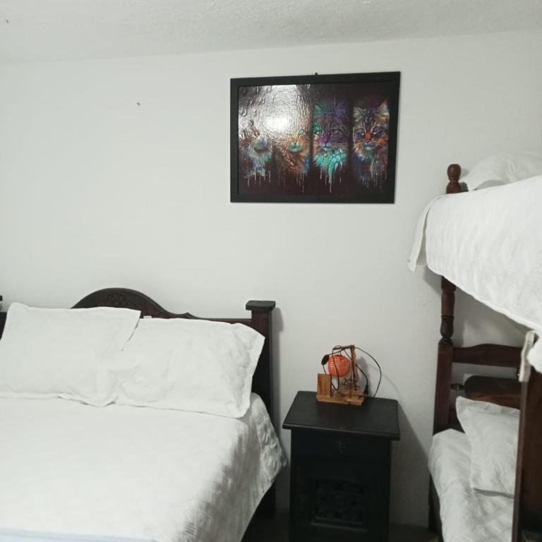 Apartamento la primavera - Apartamento de 2 dormitorios - 6
