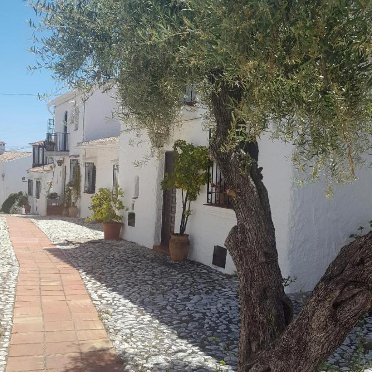 Villa Crisantemos - Villa de 3 dormitorios - 14