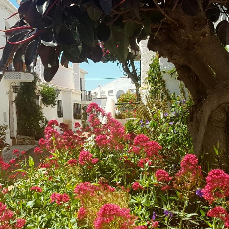 Villa Crisantemos - Villa de 3 dormitorios - 16