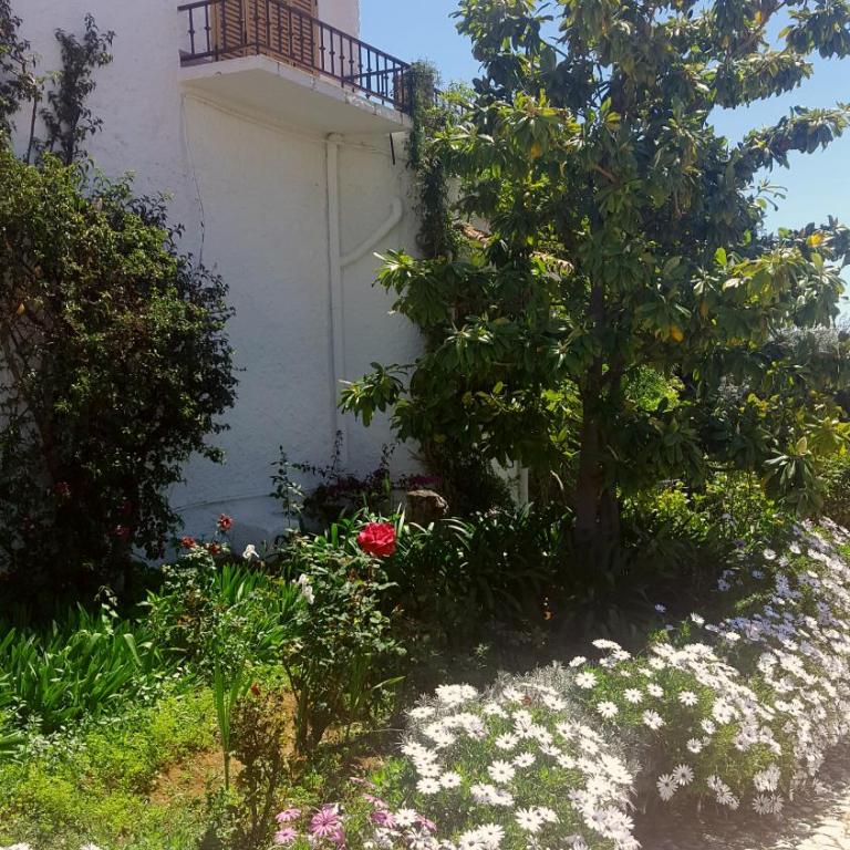Villa Crisantemos - Villa de 3 dormitorios - 15