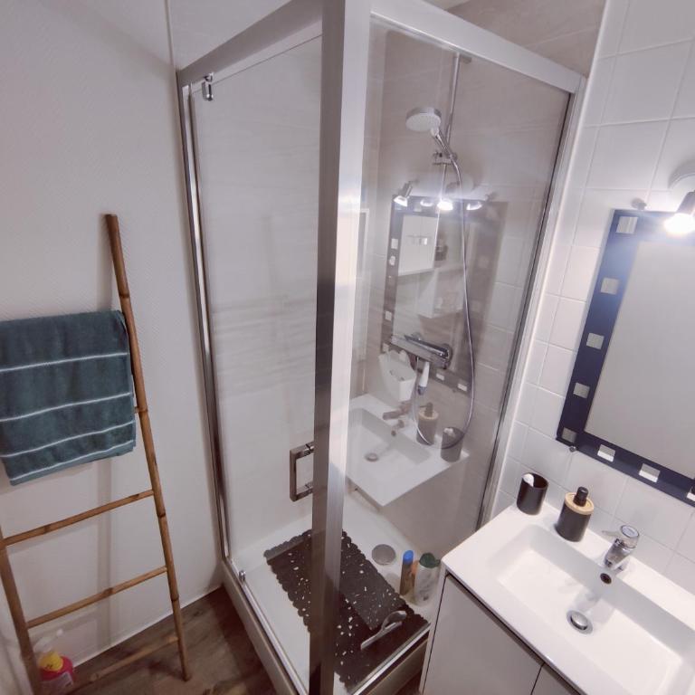 Charmant Duplex tout confort - Appartement 1 Chambre - 10
