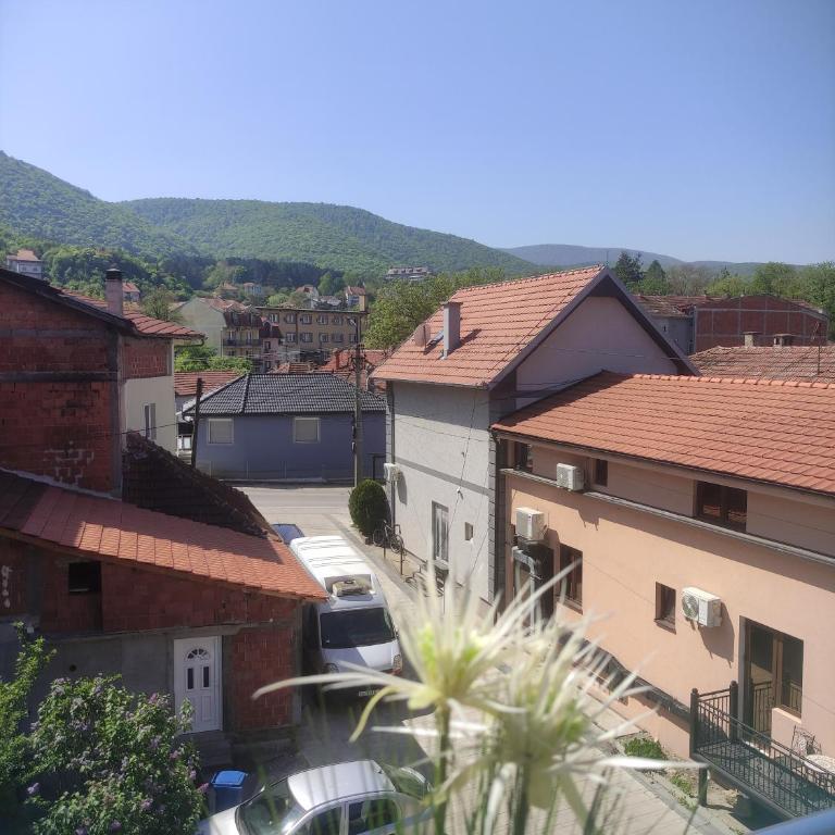 Central Lux ( U CENTRU GRADA, 30m od SPA centra) - One-Bedroom Apartment - 30