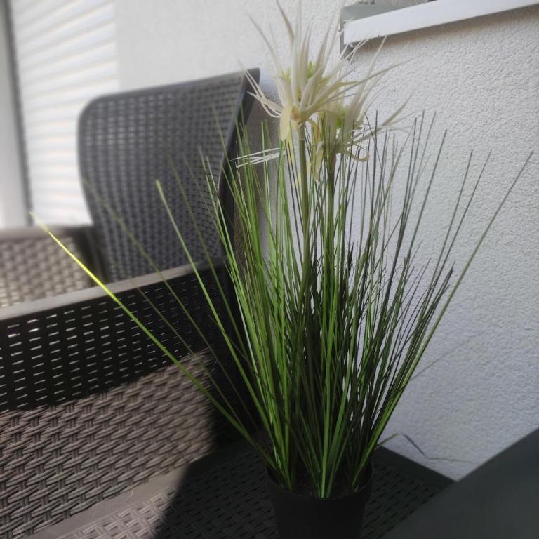 Central Lux ( U CENTRU GRADA, 30m od SPA centra) - One-Bedroom Apartment - 29