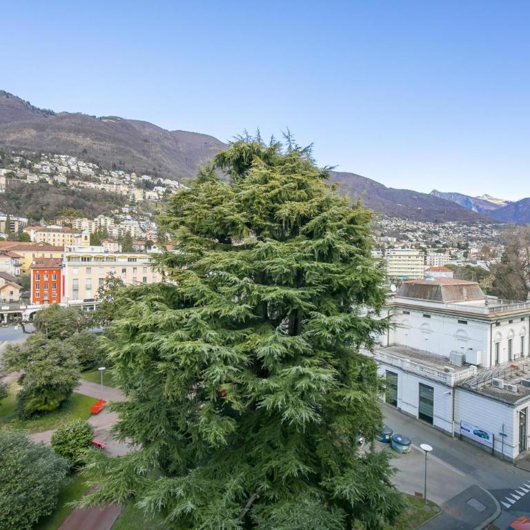 Locarno city - Monolocale con Vista Montagna - 13