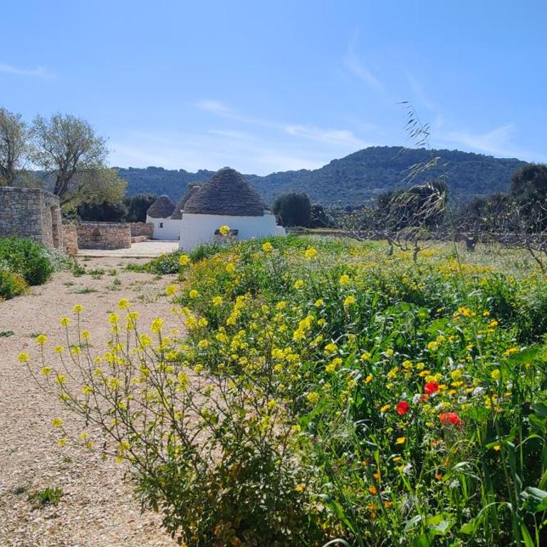 Masseria Celeste - Suite King Deluxe - 27