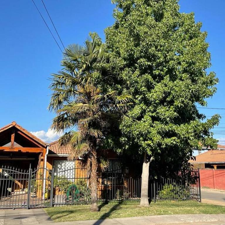 Colchagua Stay . Vive tu experiencia en Santa Cruz - Casa de 2 dormitorios - 18
