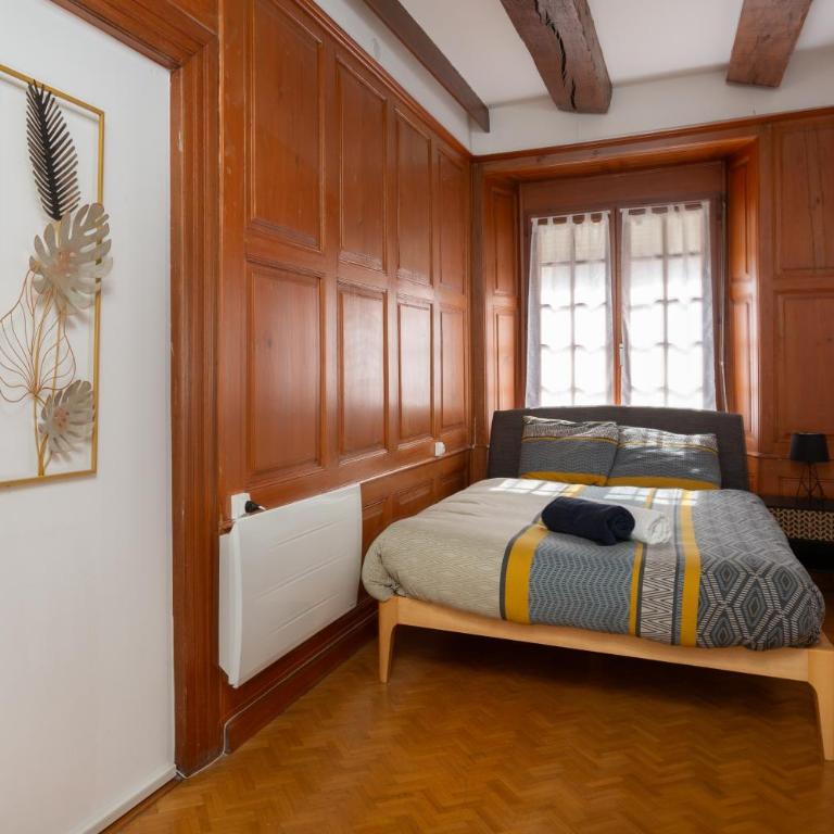 Le Grand Franciscain - centre historique - Apartment - 5