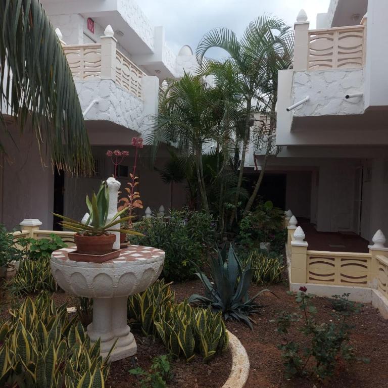 Casa Papagayo - Apartamento de 1 dormitorio - 36