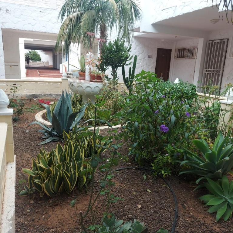 Casa Papagayo - Apartamento de 1 dormitorio - 37