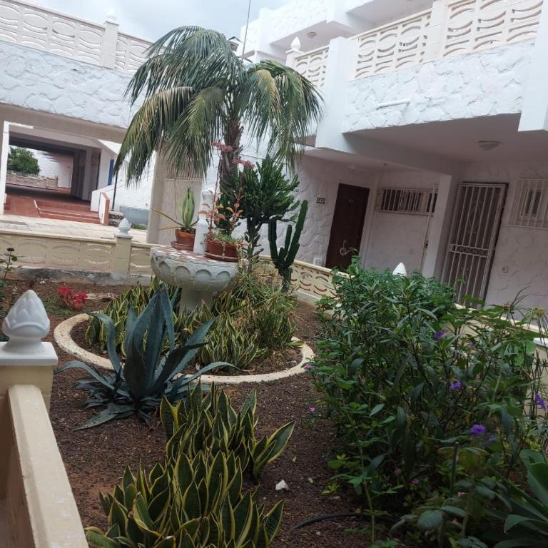 Casa Papagayo - Apartamento de 1 dormitorio - 40