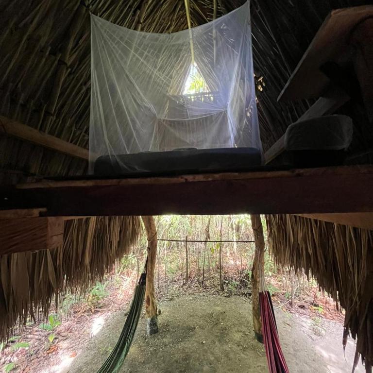 Eco-Camping Mango Feliz Rincón del Mar - Bungalow con vistas al jardín - 17
