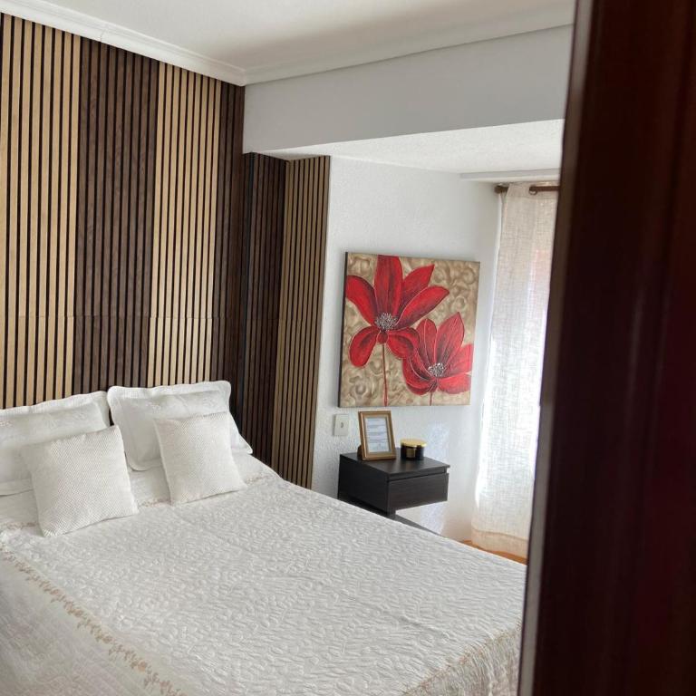 Un Lugar Para Descansar En Alicante - Double Room in Apartement with shared bathroom - 11