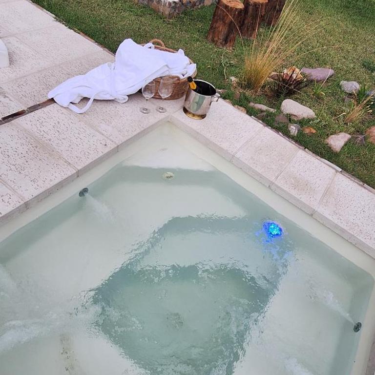 Casa Andina Chacras De Coria, con viñedo y jacuzzi - Casa de 2 dormitorios - 41