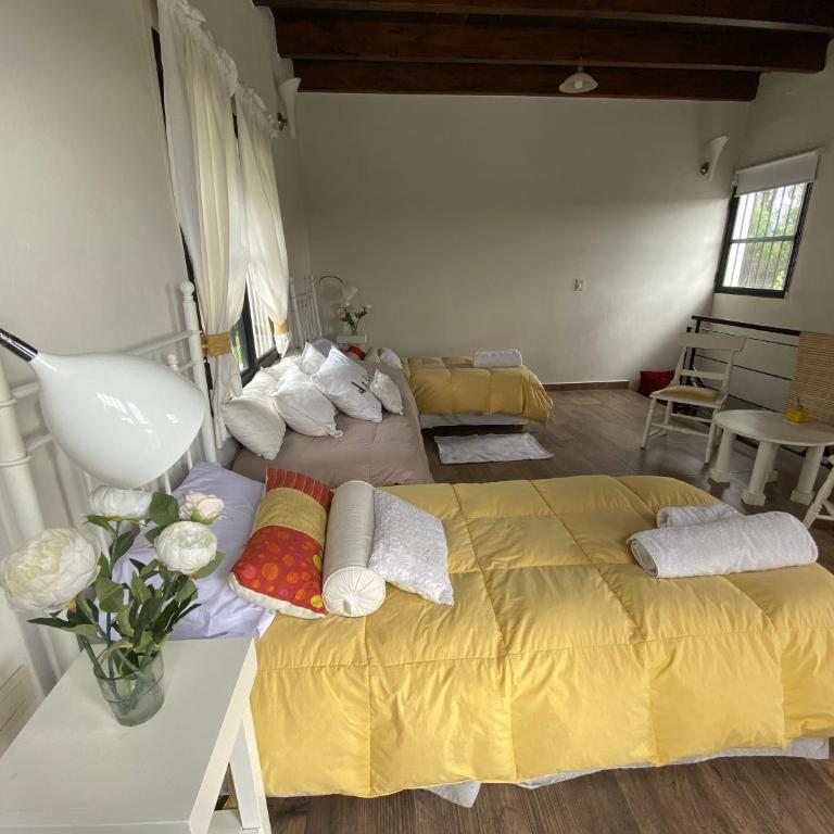 Casa Andina Chacras De Coria, con viñedo y jacuzzi - Casa de 2 dormitorios - 53