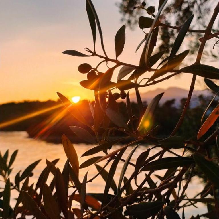 Apartment Kjara - Kuća sa 2 Spavaće Sobe - 9