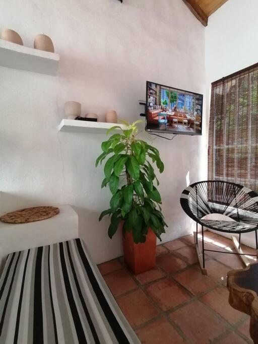 Casa de las Palmas - Casa de 3 dormitorios - 4