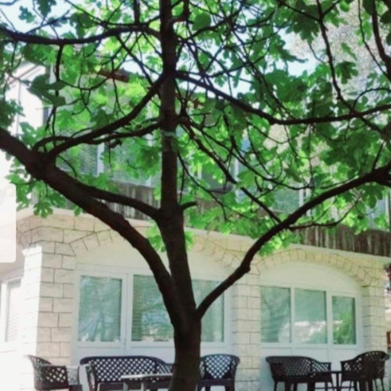 Bravo Plus - Apartment - Ground Floor - 2