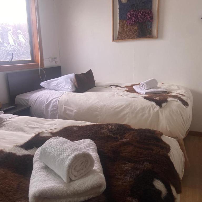 Hostal Queltehue - Twin Room - 2