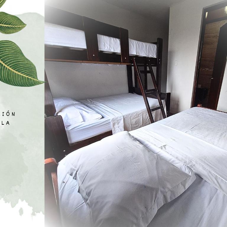 Casa Vacacional Puro Jita - Triple Room with Bathroom - 1