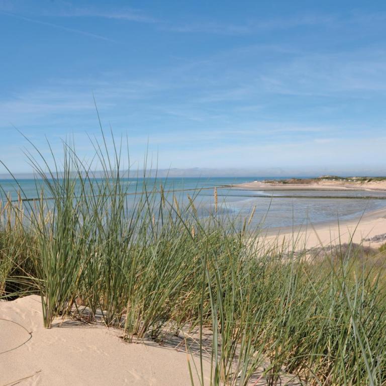 300m de la plage et commerces - Studios B et C - Appartement 1 Chambre - 9