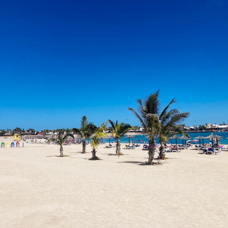 Castillo Mar Superior - One-Bedroom Apartment - 33