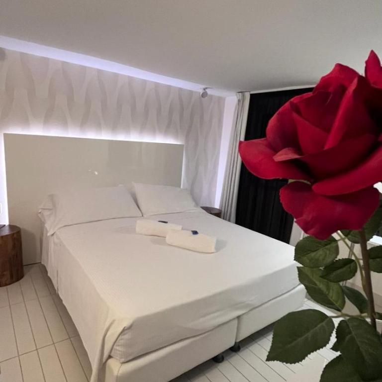 Q Hotel - Suite - 6