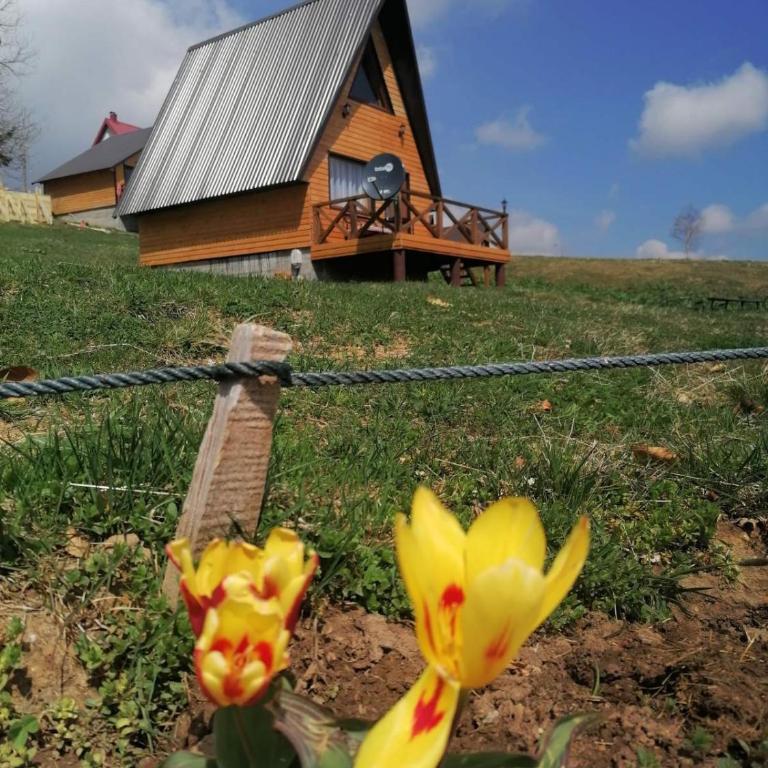 Koliba Luča Smrčevo Brdo - One-Bedroom Chalet - 6