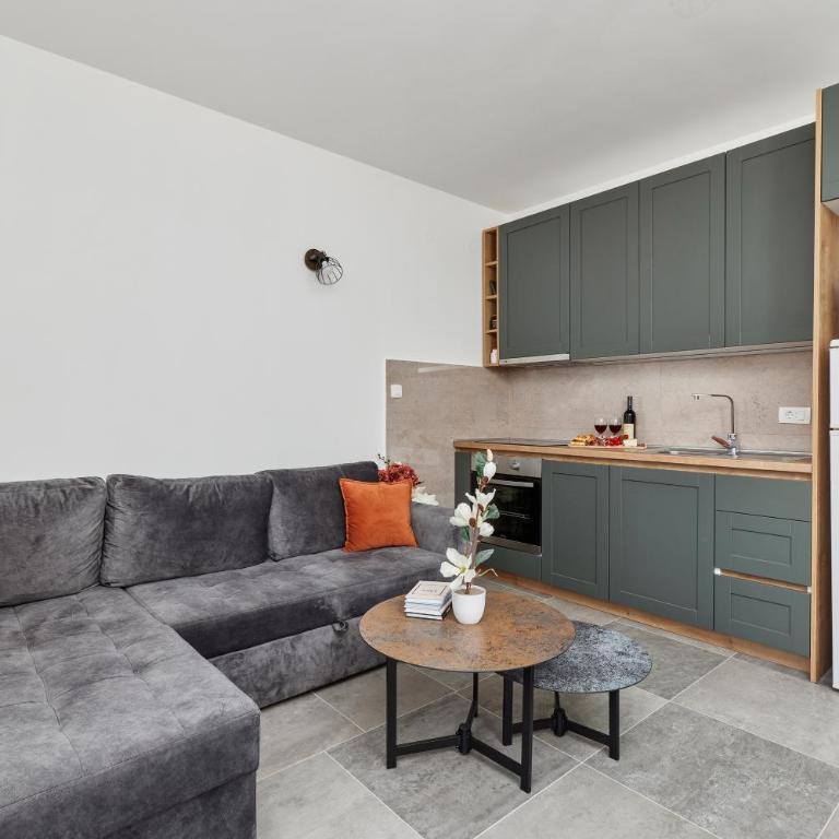 Apartment Hill with Free Garage Spot - Apartman sa 2 Spavaće Sobe - 4