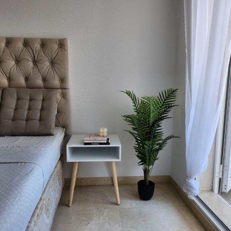 CASABLANCA DUPLEX apartamentos - Apartamento de 3 dormitorios - 21