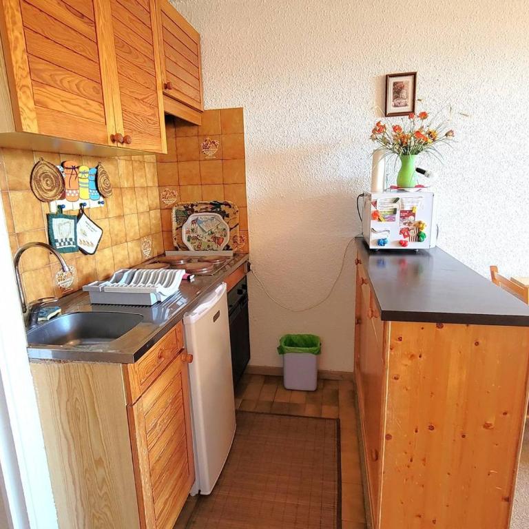 Studio lumineux 4/5 pers, plein Sud avec balcon - Chaillol 1600 - Studio - 5