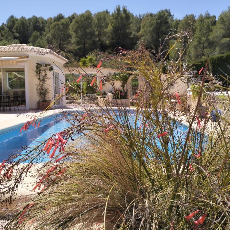 VILLA LUXUEUSE Dénia - Villa - 2