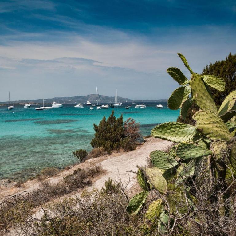 Villetta Franca 100m From The Beach - Happy Rentals - Villa con Vista Mare - 20