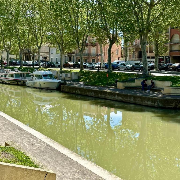 Le Victor Hugo de la Robine - Appartamento con Terrazza - 26