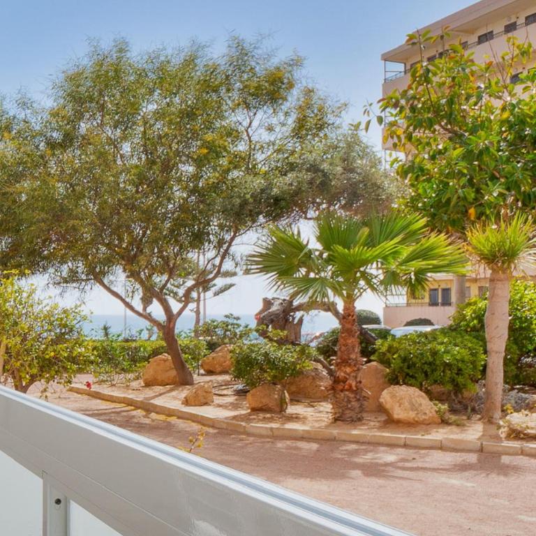 Casa Blanca apartment first line La Mata - Torrevieja - Apartamento de 2 dormitorios - 14