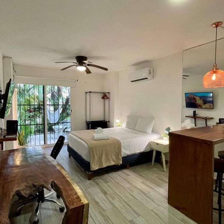 Miramar by Zamá Homes - Estudio con terraza - 8