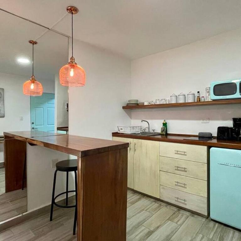 Miramar by Zamá Homes - Estudio con terraza - 15