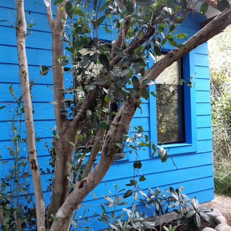 Casita Azul - Chalet de 1 dormitorio - 23