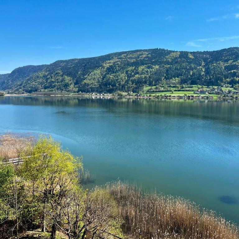 See-Apartment AURA am Fuße der Gerlitzen Alpe und Ufer des Ossiacher Sees - mit privatem Seezugang & Hallenbad - Apartment - 28