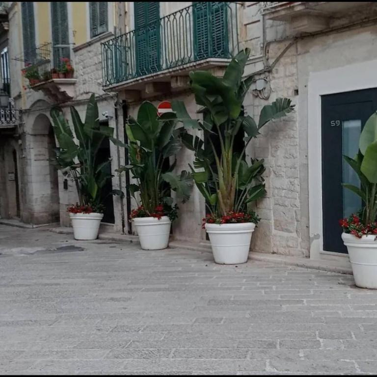 Locus Pendinelli Trani 53-The philosophy of a bb, the details of a Hotel - Appartamento - 3
