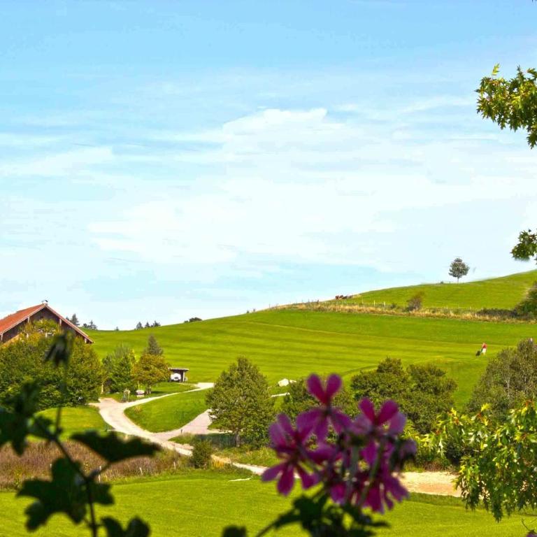 Hotel Allgäu Garni - Apartment mit 2 Schlafzimmern - 1