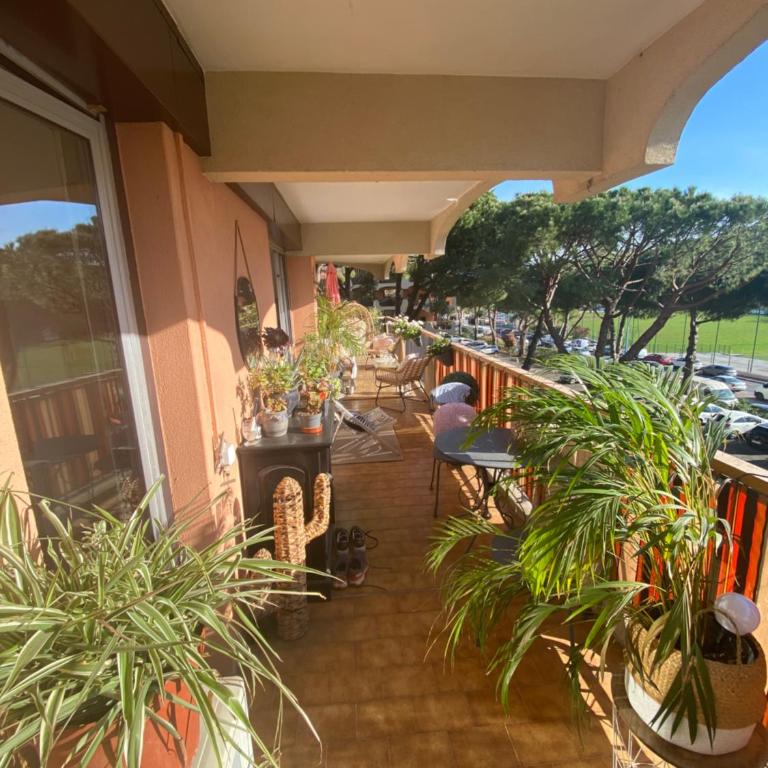 Bel appartement en résidence avec 3 piscines - Appartement 1 Chambre - 2