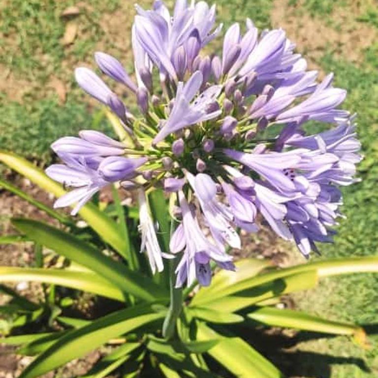 Casa de Campo - Los Colibríes - Casa de 2 dormitorios - 23