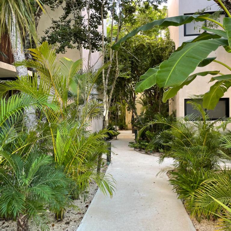 Casa del Sol - One-Bedroom Apartment - 14