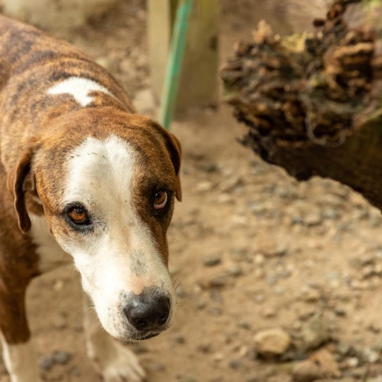 Casa Surf Mar Azul - Double Room - 3