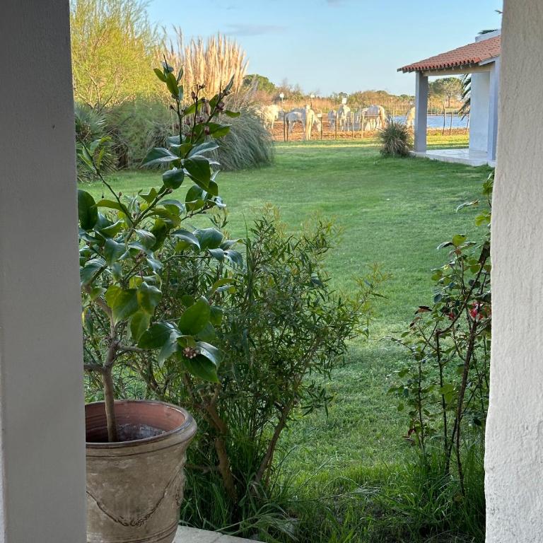 Hotel Mas Des Barres - Chambre Double Confort avec Terrasse - 1