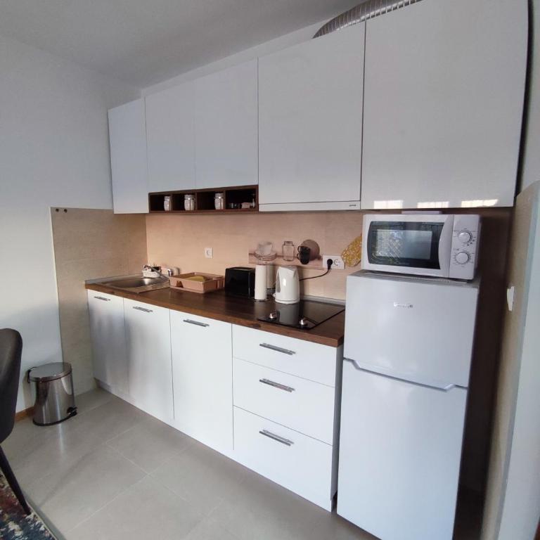 Apartman Desanka - One-Bedroom Apartment - 15