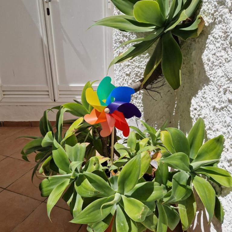 San Antonio - Beach, pool and terrace - Apartamento - Planta baja - 23