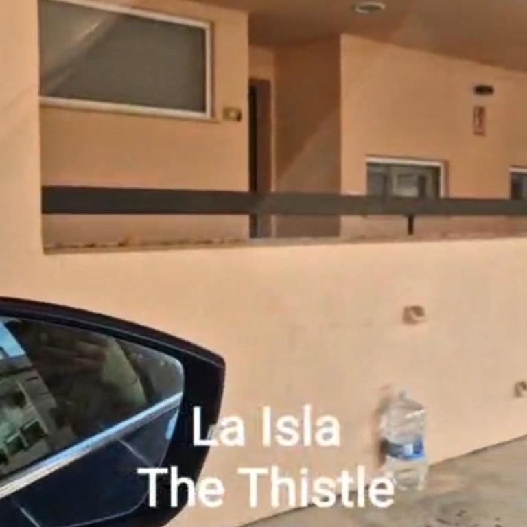 Thistle 2.0b - Two-Bedroom Apartment - 3