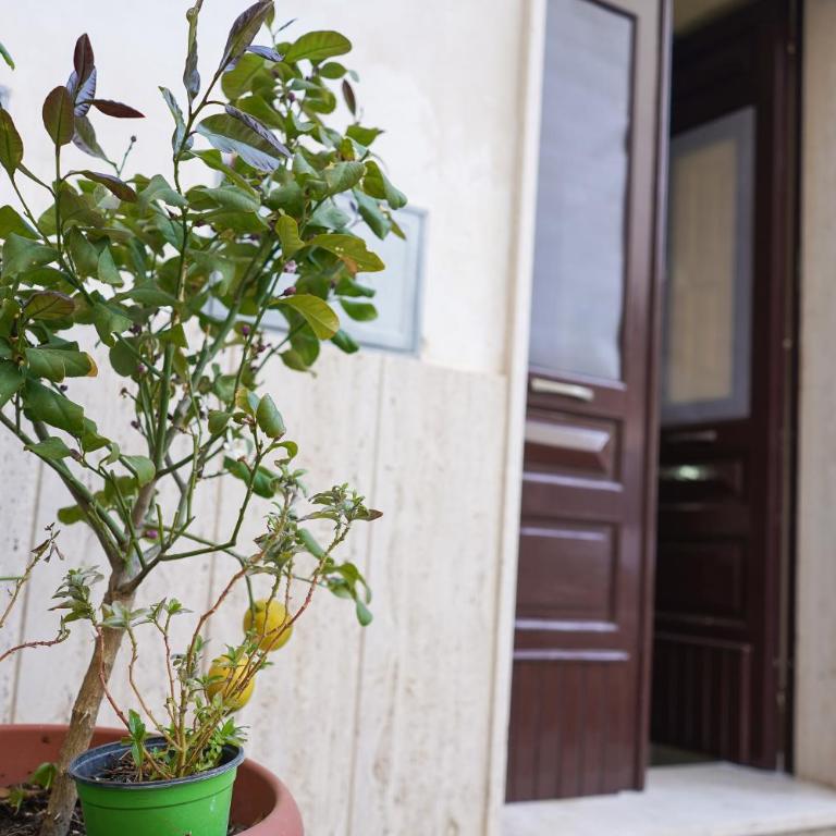 """ Holiday Properties Sicilian Central """ - Appartamento - 40