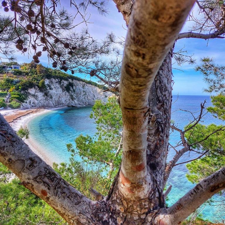 Casa Stellino 33 nel cuore di Portoferraio - Appartamento con 3 Camere da Letto - 19